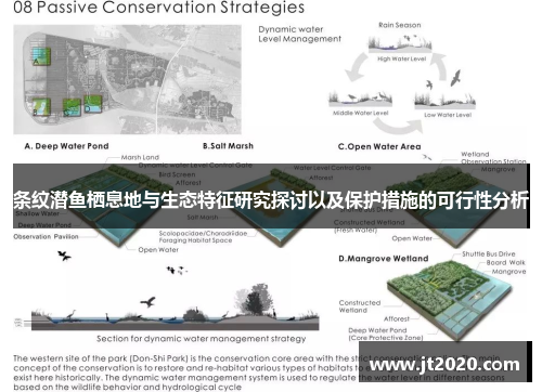 条纹潜鱼栖息地与生态特征研究探讨以及保护措施的可行性分析